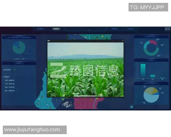 下载3D走势图轻松掌握市场动态助您精准投资决策